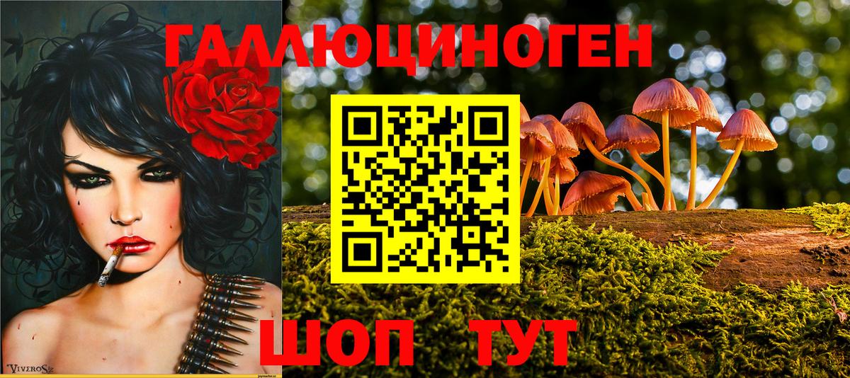 Галлюциногенные грибы GOLDEN TEACHER Осинники
