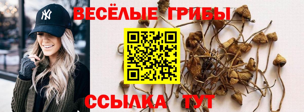 Галлюциногенные грибы Magic Shrooms  Вход с VPN  Осинники 